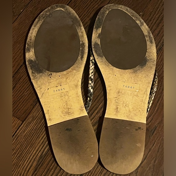 J. Crew Flip Flops - Picture 3 of 4